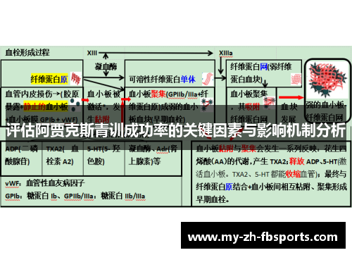 评估阿贾克斯青训成功率的关键因素与影响机制分析