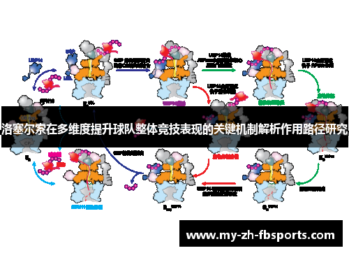 洛塞尔索在多维度提升球队整体竞技表现的关键机制解析作用路径研究