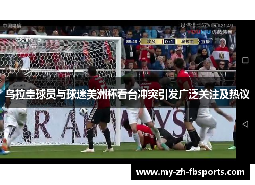 乌拉圭球员与球迷美洲杯看台冲突引发广泛关注及热议