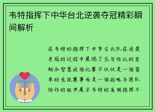 韦特指挥下中华台北逆袭夺冠精彩瞬间解析